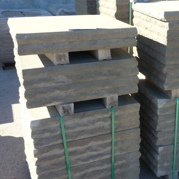 CAPS-CH-001 CAPS-CH-001