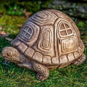TRAVELING TURTLE