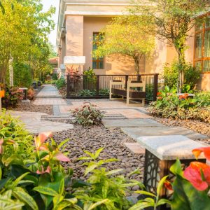 Decorative Ground Cover