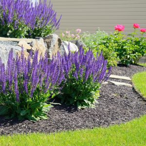 Mulch