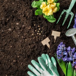 Sands & Soil
